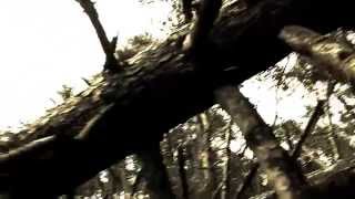 Music video thumbnail preview for STANDVAST Heemvast / Vraatzucht by Standvast