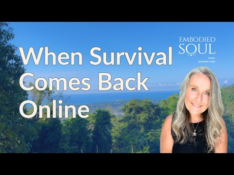 When Old Survival Comes Back Online | Nervous System Awareness & New Choice
