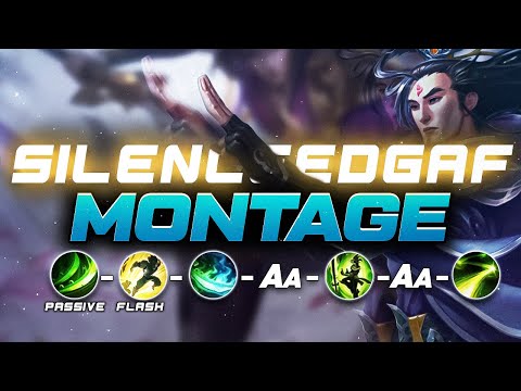 MASTER YI MINI MONTAGE SILENCEEDGAF
