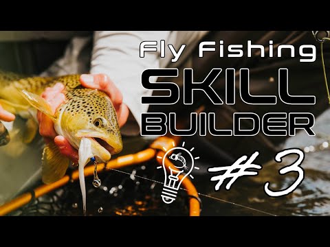 Fly Fishing Skill Builder #3 | Choosing Streamer Line, Streamer Retrieves & Strip Setting