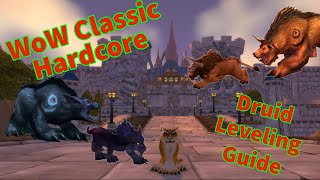 WoW Classic Hardcore Druid Leveling Guide