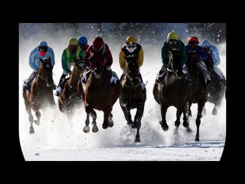 White Turf in St.Moritz / Schweiz,   Slideshow 