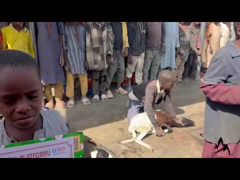 Afrika Kurban Kesim Organizasyonu