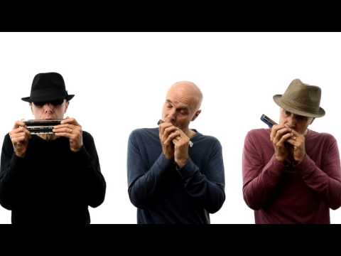 Губна гармоніка SEYDEL SKYDIVER C (25480C)