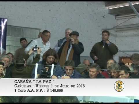 01-07-16 Venta de Toros P.P. - Cabaña La Paz - Cañuelas.