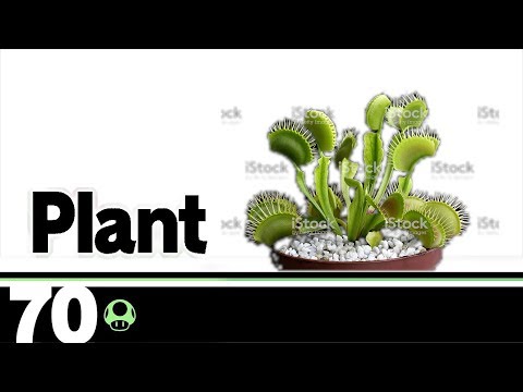 VERY BAD PIRANHA PLANT GUIDE