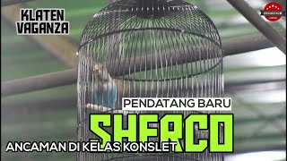 Download lagu Klaten Vaganza : Pendatang Baru | LOVEBIRD SHERCO | Durasinya Bikin ANCAMAN mp3