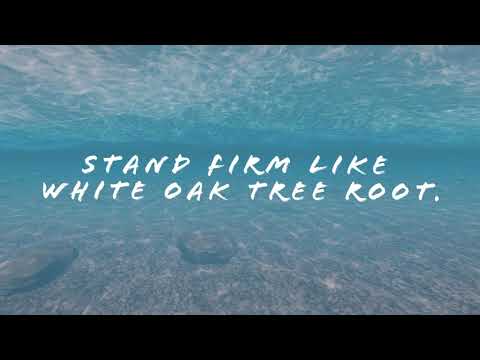 BINGY LINKZ - WISE UP [LYRIC VIDEO]