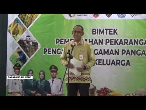 Lewat Bimtek, PKK Tabalong Didorong Maksimalkan Pekarangan Jadi Sumber Pangan Bergizi