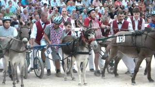 preview picture of video '121' corsa degli Asini di Fagagna - Corse dai mus'