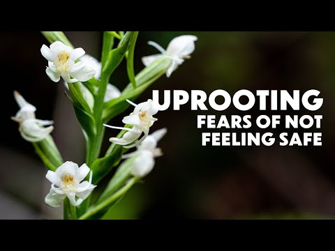 Monteverde Rein Orchid Flower Essence | Uprooting Fears of Not Feeling Safe