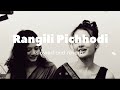 Rangili Pichhodi perfectly slowed #slowed #lofi #reverb #song