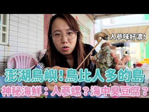 澎湖鳥嶼住一晚！運動會是挖螺獅比賽？畢旅直接搭飛機？解鎖超衝擊人參螺？