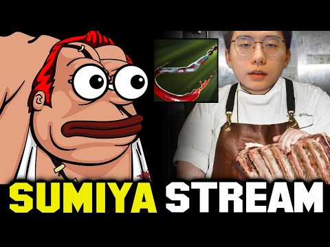 Happy Pudge with Disaster Hook | Sumiya Invoker Stream Moment #1453