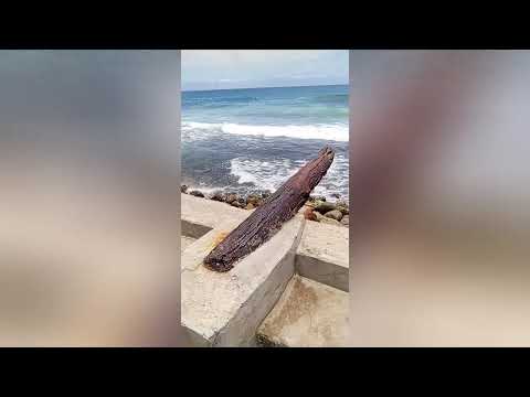 ¡Descubrí el PARAÍSO OCULTO de Venezuela! / Ocumare de la Costa de Oro