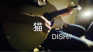 【弾いてみた】 猫 歌詞あり カバー