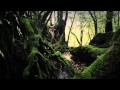Sigur Rós - Dauðalogn [Official Music Video]