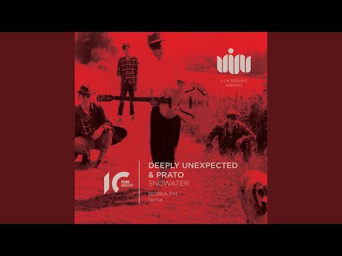 Snowater (Borka FM Remix)