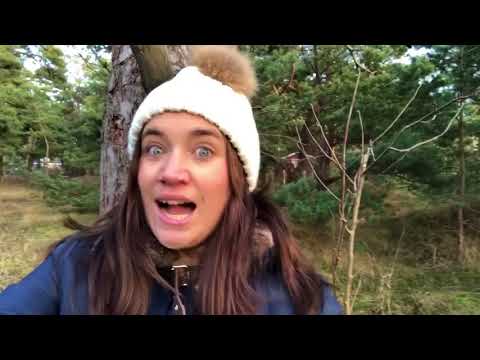 Gravid vecka 11 och 12