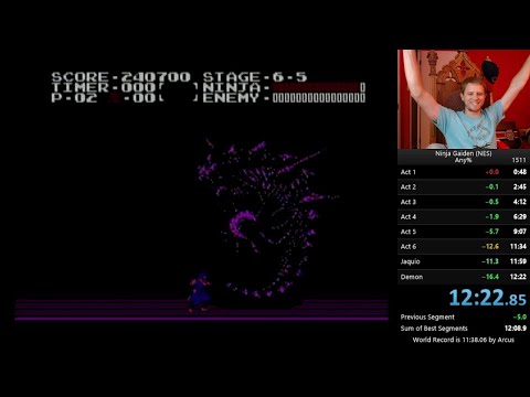 Ninja Gaiden NES Speedrun (Any%) 12:22 PB by xJRigsx (License run!)