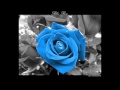 Anything Box - Blue Little Rose (deejayWESTBROOK's Extended Mix)
