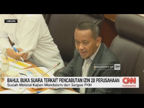 Bahlil Buka Suara Terkait Pencabutan Izin 28 Perusahaan