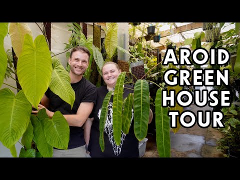TROPICAL HOUSEPLANT OASIS - an updated tour of the Growing Grounds Greenhouse with AJ