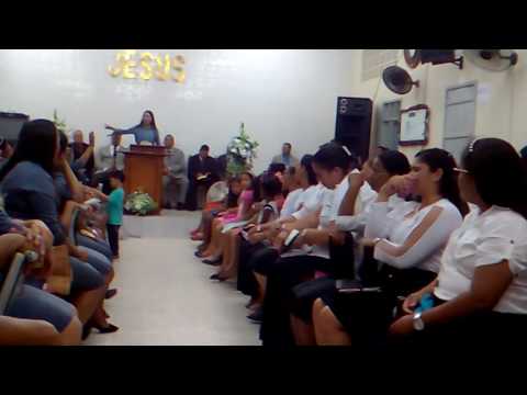 Mayra Carvalho Desperta