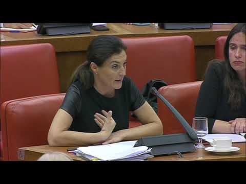 Intervención Valentína Martínez en la Comisión de Asuntos Exteriores el Congreso de los Diputados