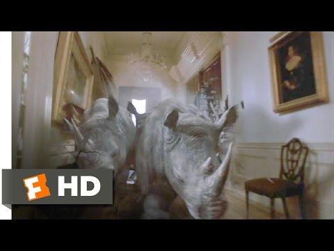 Jumanji (4/8) Movie CLIP - Stampede! (1995) HD