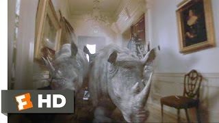 Jumanji (4/8) Movie CLIP - Stampede! (1995) HD