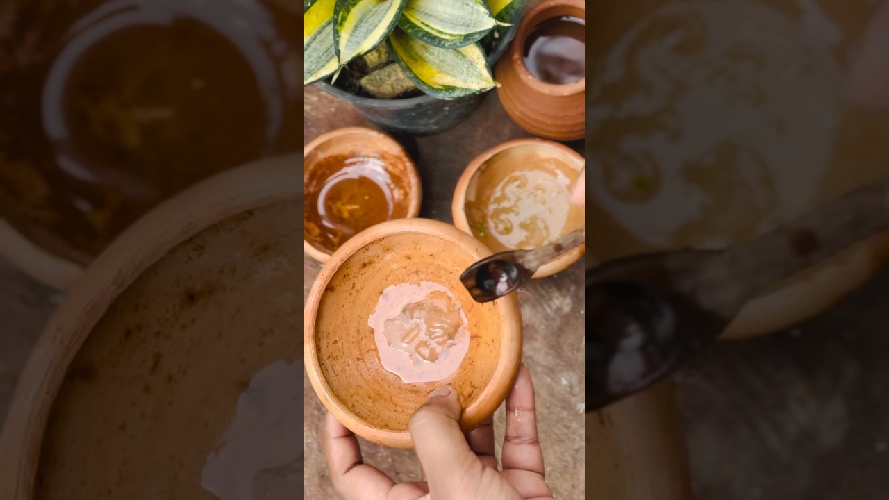 How to use aloe vera and olive oil for skin glow 🌿👩‍🦰 #shorts