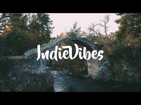 Tim The Lion Tamer – Whistleblower