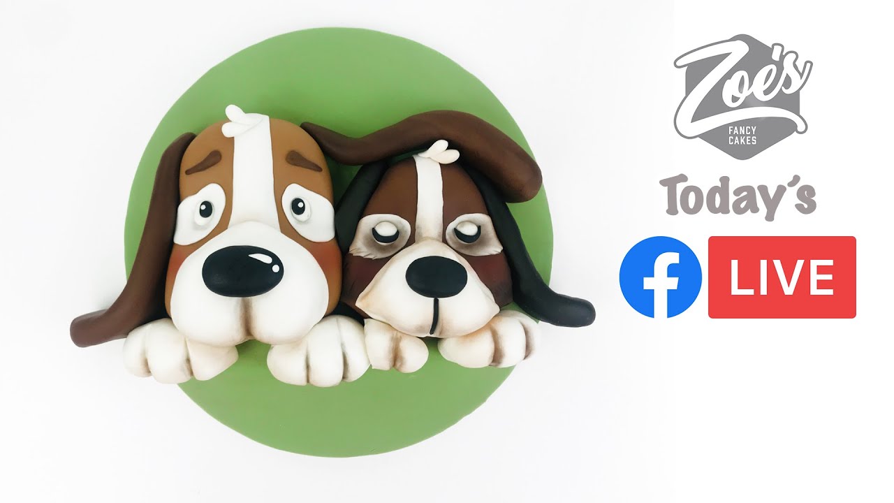 facebook live 05 3D dog cake