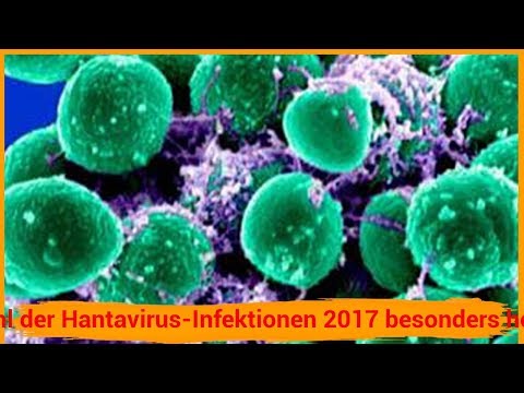 Immunisiert gegen Diphtherie bei Hypertonie Als Nieren zur Behandlung von Hypertonie