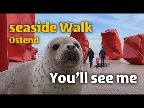 Seaside Walking Tour 🌊 Exploring Ostend Beach in 4K | Belgium