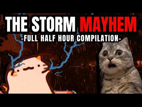 Cat MEMES: THE STORM MAYHEM FULL HALF HOUR COMPILATION | FAMILY ROADTRIP SPECIALS
