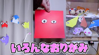 【おりがみ】動物、恐竜、虫、乗り物