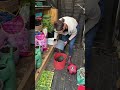 Quick Garden Session Gardening Garden Gardeningtips Flowers Plants