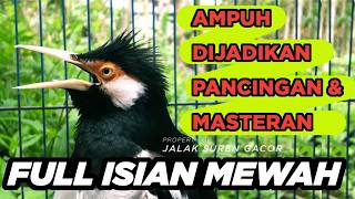 Download lagu Burung Jalak Suren Full Tembakan Mewah Gacor Full Isian Suara Unik Kreasi mantap mp3 Download lagu Burung Jalak Suren Full Tembakan Mewah Gacor Full Isian Suara Unik Kreasi mantap mp3