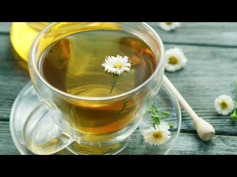 closeup of cup with camomile tea KPVYX23