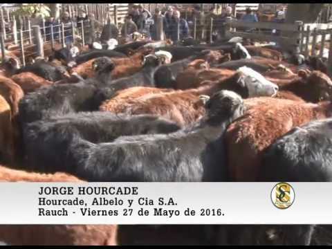 27-05-16 Nota Jorge Hourcade - Hourcade, Albelo y Cia S.A. - Rauch.