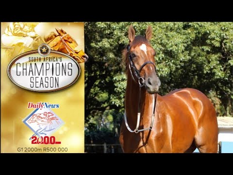 THE DAILY NEWS 2000 LOOKS SET TO BE A "CRACKER"