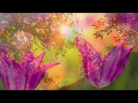 Grupul Iehova-Nisi - Inca mai este loc la cruce