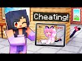 Using Cameras To CHEAT In Minecraft Hide N Seek
