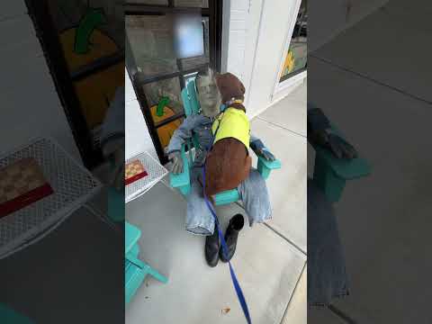 Le chien de sauvetage adore Frankenstein !