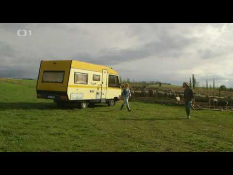 Farmářská jízda  04  Prasata ze Sasova