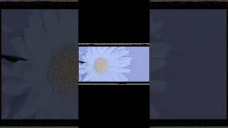 【#パレード】【#ヨルシカ】【#shorts】【#永久機関】【#キタニタツヤ】      #ヨルシカ プロフよりYouTube fullへ飛べます！ #初音ミク #anime