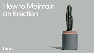 Hims How to Maintain an Erection 14Natural Tips for Treating