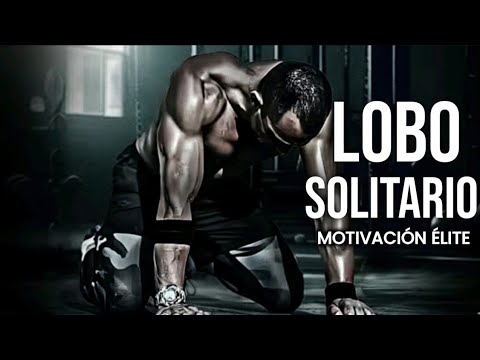 Motivación Élite and Mentalidad y Poder